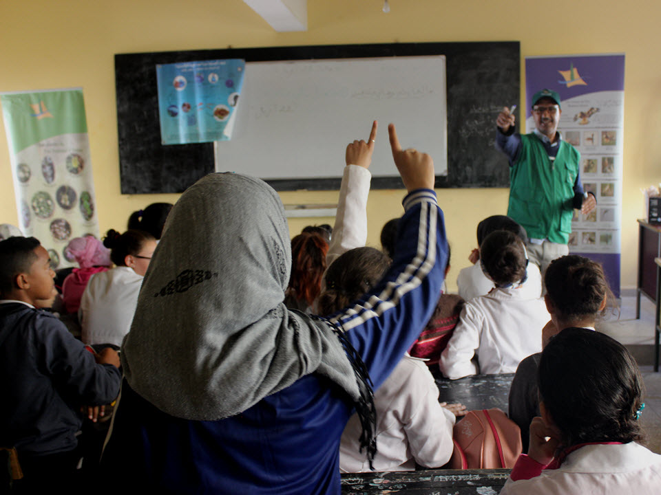 Introduire le potager à l’école en tant que support d’éducation au développement durable