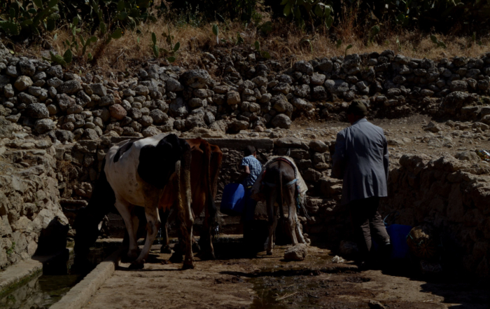 Projet de protection des eaux douces de la vallée d’Oued Khoumane